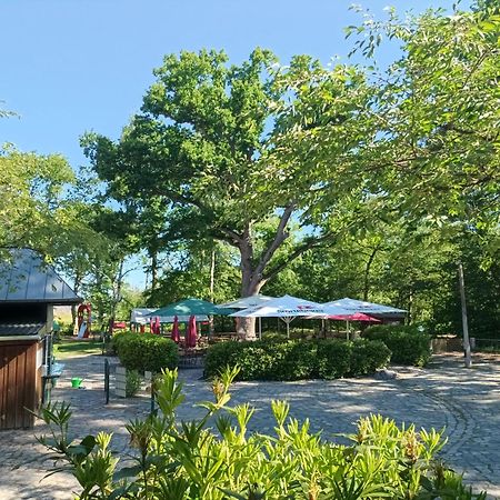 Hotel Schloesschen Sundische Wiese Zingst Exterior foto