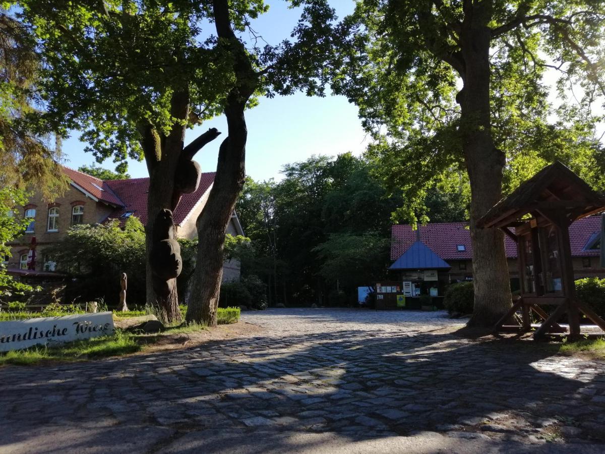 Hotel Schloesschen Sundische Wiese Zingst Exterior foto